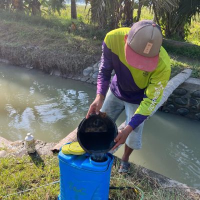 Distribusi Pupuk Granul ke Petani Lokal